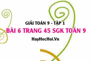 Giải bài 6 trang 45 SGK Toán 9 tập 1